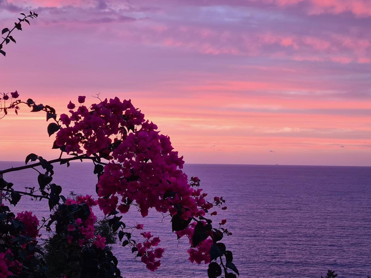 “Cielo E Mare”, Casetta Nel Cuore Del Borgo Antico / “Sky & Sea”, Charming In The Heart Of Old Village Castelsardo Exteriér fotografie